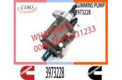 China Neutral Diesel Engine Parts Fuel Injection Pump 3973228 For Cummins 3973228  3973228 supplier