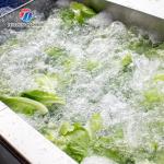 3KW Bubble Circulating Surfing Fruit And Vegetable Washing Machine Ozone Sanitization Bubble