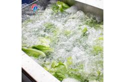China 3KW Bubble Circulating Surfing Fruit And Vegetable Washing Machine Ozone Sanitization Bubble supplier