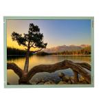 15.0 lcd display module for Sharp 1024x768 LQ150X1LW12 tft lcd for sale