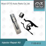 7135-812 Delphi Injector Repair Kit Nozzle Valve Kit Nozzle CVA Kit for sale