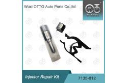 China 7135-812 Delphi Injector Repair Kit Nozzle Valve Kit Nozzle CVA Kit supplier