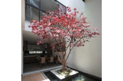 China All Season Simulated Anti UV Artificial Maple Tree Indoor Ornament supplier