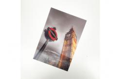 China 11x16cm Lenticular 3d Poster / 3d Lenticular Card Landscape Printing Design supplier