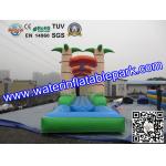 PVC Inflatable Single Lane Slip , Inflatable Water Slide Single Slip