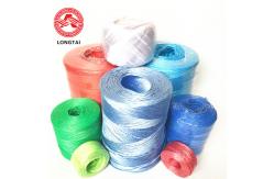 China Twisted Gardening Greenhouse Packing String Tomato Tying Twine 2kg-5kg Rolls supplier