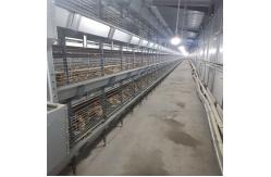 China Enriched 3-8 Tiers Baby Chick Cage For Day Old Layer Chicks supplier