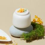 Functional Design 4.7DIAX7”H Ceramic Container With Lid Multifunctional for sale