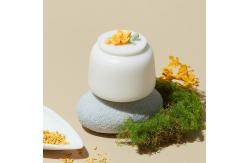 China Functional Design 4.7DIAX7”H Ceramic Container With Lid Multifunctional supplier
