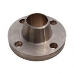 Flat Face Connection Type Copper Nickel Flange Painted In Oil Black Weld Neck Flange for sale