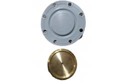 China High Temperature Rubber Diaphragm Seals With Excellent Durability supplier