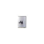 LS058C0010F 5.8 inch LCD Panel Display 1080*2280 LCD Screen for sale