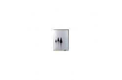 China LS058C0010F 5.8 inch LCD Panel Display 1080*2280 LCD Screen supplier
