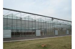 China High Transmittance, Weld-Free VENLO Greenhouses For Premium Crop Seedlings & Growth supplier