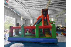 China Inflatble Exotic Bouncy House With Internal Slide Combo Jumping Castle supplier