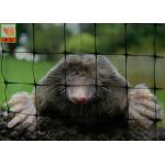 Black Polypropylene Agricultural Netting Anti Mole Mesh 16mmX16mm Hole Size for sale