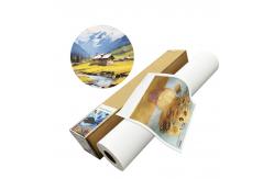China Printable Waterproof 220gsm Polyester Canvas Rolls For Giclee Art Printing supplier