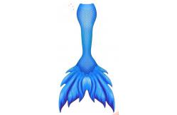 China Ultr - Shiny Mermaid Tail Swimming Bikini Set Swimwear Mono Fin Swim Set supplier