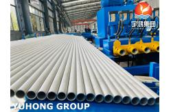 China Austenitic ASTM A213 TP316L 1.4404 Seamless Heat Exchanger Tube supplier