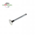 Inlet Valve Exhaust Valve CH11021 CH11022 for 2806 Engine
