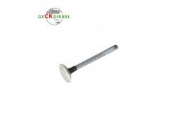 China Inlet Valve Exhaust Valve CH11021 CH11022 for 2806 Engine supplier