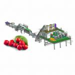 Automatic Fruit Juice Processing Line For Date Juice Making 380V for sale