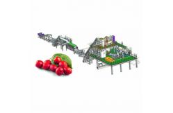 China Automatic Fruit Juice Processing Line For Date Juice Making 380V supplier