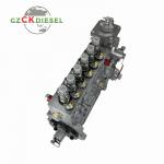 Fuel Injection Pump 0402066702 3926887 for Engine ISC 6CTA8.3L