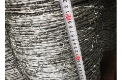 China Galvanized Double Twist Barbed Wire 20kg/Coil For Grass Boundary supplier