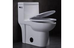 China Elongated Skirted Siphonic One Piece Toilet Comfort Height Round Flushing supplier