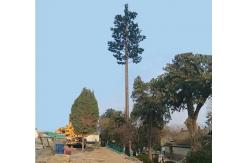 China Camouflage 40m Single Pole Tower For Telecommunications supplier