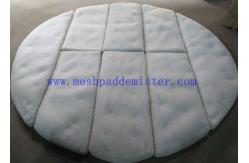 China 2500 mm Custom Order 8 Parts Plastic PTFE Knitting Mesh Demister Pad supplier