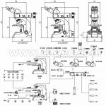 White Teaching Metallurgical Optical Microscope Binocular A13.0904