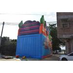 Simple Classic Commercial Inflatable Water Slides / Colourful Inflatable Dry Slide