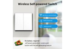 China No Battery Wireless Kinetic Switch Rocker Push Button Self Powered Light Switch supplier