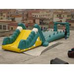 Great Fun Inflatable Crocodile Water Slide for Water Paks for sale