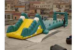 China Great Fun Inflatable Crocodile Water Slide for Water Paks supplier