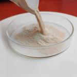 Pancreatin 25000 Protease Manufacturer Providing Enzyme Preparation Sample for sale