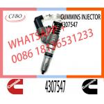 M11 Engine Injector 4307547 4928517 4903472 3411756 3080429 2080429