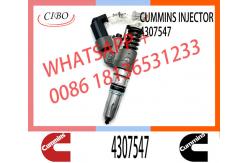 China M11 Engine Injector 4307547 4928517 4903472 3411756 3080429 2080429 supplier