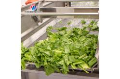 China Silver Fruit And Vegetable Peeler Machine Model and Durable supplier