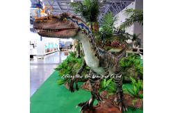 China Simulated Electric Animatronic  Velociraptor Dinosaur Model for Entertainment Park and Restaurant supplier