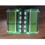 RYP240160A 240*160 Dots Graphic LCD Module FSTN Blue For Automotive for sale