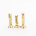 M8 Brass Wood Screws Flat Head Slotted , Outdoor Light Fixture Screws for sale