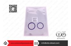 China 20440388 Delphi /  Injector Repair Kits Common Rail Injector Parts supplier