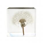 2.7 Resin Flower Paperweight 3D Dandelion Paperweight for sale