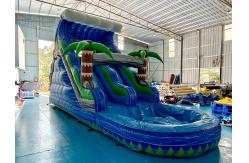 China Factory Commercial Summer Inflatable Water Slides Inflatable Slides Castle supplier