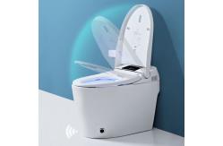 China Luxury Bathroom Sensor Electric Automatic Flush Wc Bidet Intelligent Smart Toilet supplier