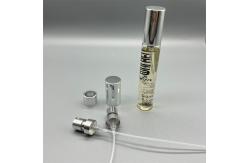 China Premium Silver Perfume Pump Sprayer Chic Dispenser For Scents supplier