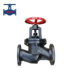 Cast Iron Flanged Globe Valve Low Pressure With Brass Seal for sale